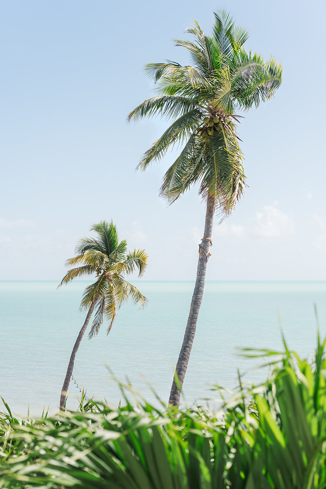 Florida Keys wedding planning and floral design